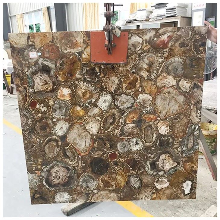 Brown Petrified Wood Slab